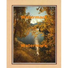 Golden Stream  - XKFL2109  -  PRINT