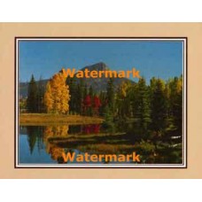 Autumn Reflections  - XKFL2111  -  PRINT