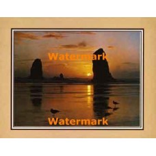 Sentinels At Sunset  - #XKFL2112  -  PRINT