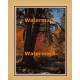 Autumn Stream  - XKFL2113  -  PRINT