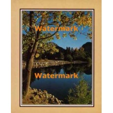 Natures Reflections  - #XKFL2114  -  PRINT