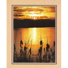 Lakeside Flora  - #XKFL2122  -  PRINT