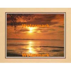 Sunlit Water  - #XKFL2124  -  PRINT