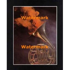 French Horn  - XKFL2312  -  PRINT