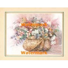 Daisies and Wicker  - XKFL2646  -  PRINT
