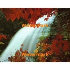 Autumn Cascades  - XKL2051  -  PRINT