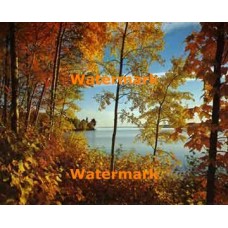 Autumn Lake  - XKL2063  -  PRINT