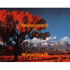 Autumn Foothills  - XKL2905  -  PRINT