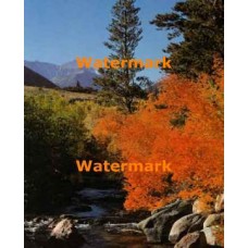 Autumn Stream  - XKL2914  -  PRINT