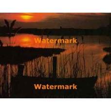 Rowboat Serenade  - #XKL2923  -  PRINT