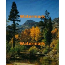 Woodland Stream  - #XKLLAM2103  -  PHOTO PRINT