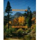 Woodland Stream  - #XKLLAM2103  -  PHOTO PRINT