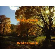 Autumn Vista  - XKLLAM2106  -  PHOTO PRINT