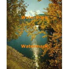 Golden Stream  - #XKLLAM2109  -  PHOTO PRINT