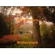 Autumn Foliage  - XKLLAM2216  -  PHOTO PRINT