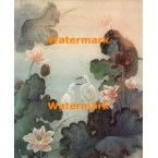 Birds  - #XBPP2255  -  PRINT