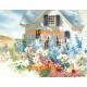 Cottage Florals II  - XAR2612  -  PRINT