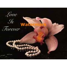 Love Is Forever  - XAR2569  -  PRINT