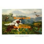 American Field Sports  - #XD4342  -  PRINT