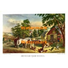 American Farm Scenes  - XD4347  -  PRINT