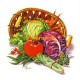 Fruit Medley  - XD7396  -  PRINT