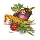 Fruit Medley  - XD7397  -  PRINT