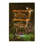 Deer  - #XD7738  -  PRINT