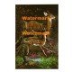 Deer  - XD7738  -  PRINT
