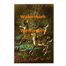 Deer  - XD7739  -  PRINT