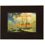 General Pickering  - #XD7860  -  PRINT