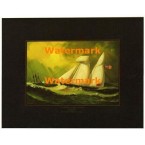 Rossie  - XD7865  -  PRINT