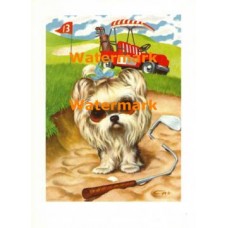 Golf  - XD8016  -  PRINT