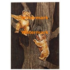 Cuddly Critters  - XD8262  -  PRINT