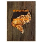 Cuddly Critters  - XD8265  -  PRINT