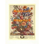 June  - #XKVH6006  -  PRINT