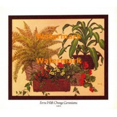 Ferns With Orange Geraniums  - XKCH9161  -  PRINT