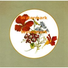 Nasturtiums  - #XKFF1244  -  PRINT