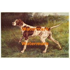 On Watch  - #XKHM794  -  PRINT