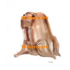 Hubert  - XRA3072  -  PRINT
