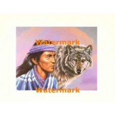 Grey Wolf  - XAR3869  -  PRINT