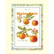 Harvey and Pippin  - XAR3242  -  PRINT