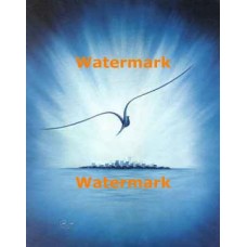 Seagull Skyline  - #XKFL3311  -  PRINT