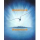 Seagull Skyline  - #XKFL3311  -  PRINT