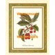 Les Cerises Savoreuses  - XKFL3551  -  PRINT