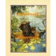 Resting Cub  - #XKFL3830  -  PRINT