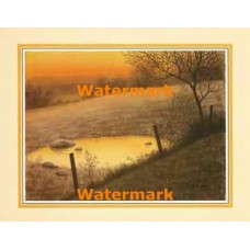 Watering Hole  - #XKFL3428  -  PRINT
