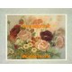 White Daisies And Poppies  -  #XKFL3809  -  PRINT
