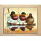 Mallards  - #XKFL3908  -  PRINT
