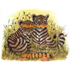 Tiger Cubs  - #XKL3109  -  PRINT