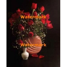 Red Roses I  - #XAR3001  -  PRINT